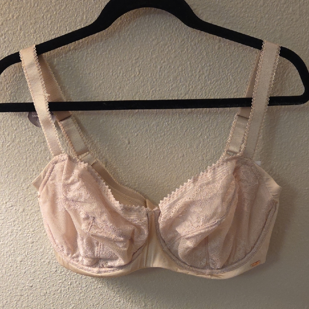 Dorina Curves Elegant Cream Lace Wire Bra